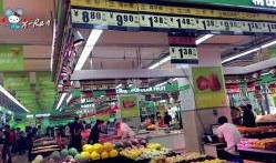 大连金州新隆嘉最新爆料,揭秘项目进展与未来规划”